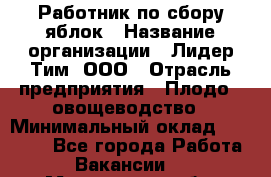 Работник по сбору яблок › Название организации ­ Лидер Тим, ООО › Отрасль предприятия ­ Плодо-, овощеводство › Минимальный оклад ­ 25 000 - Все города Работа » Вакансии   . Мурманская обл.,Оленегорск г.